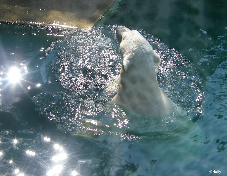 16 - Lars war lange im Wasser.jpg